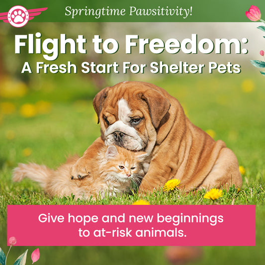 Help Fly Pets to Freedom