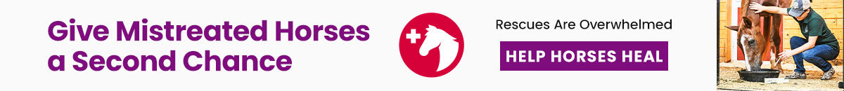 Give Mistreated Horses a Second Chance donation, The Animal Rescue Site and GreaterGood; caregiver feeding rescued brown horse in stable, veterinary care, rehabilitation support, helping neglected horses heal and recover