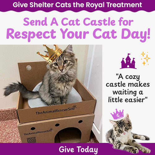 Send a Cat Castle for Respect Your Cat Day donation, The Animal Rescue Site and GreaterGood; support cozy shelter cat castles, enrichment, and comfort for cats waiting in shelters for loving homes