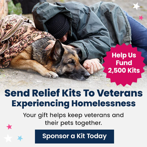 Help Us Send 2,500 Relief Kits to Veterans donation, The Animal Rescue Site and GreaterGood; homeless veteran seated roadside, support essential supplies, comfort items, and emergency assistance for veterans in need