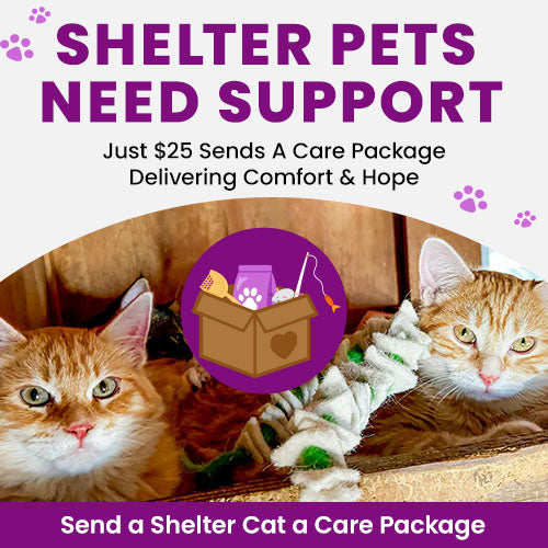 Shelter Pets Need Support donation, The Animal Rescue Site and GreaterGood; pets in shelter care awaiting comfort supplies, enrichment toys, and care packages that provide hope and daily support.