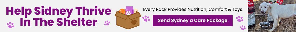 Shelter Pets Need Support donation, The Animal Rescue Site and GreaterGood; pets in shelter care awaiting comfort supplies, enrichment toys, and care packages that provide hope and daily support.