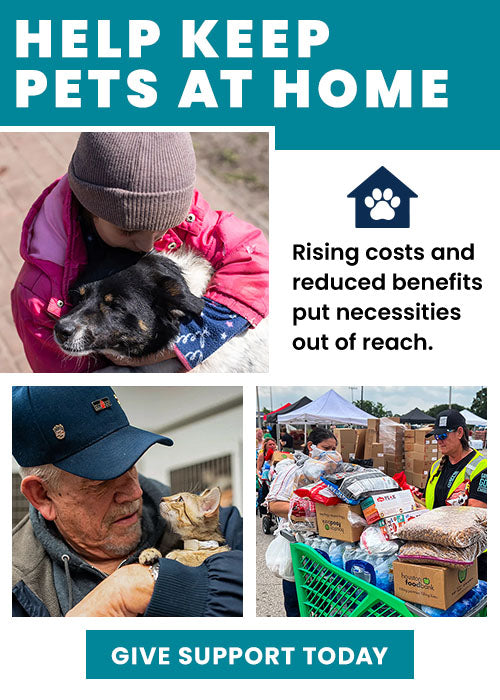 Help Keep Pets at Home donation, The Animal Rescue Site and GreaterGood; support pet families with essential supplies, food assistance, and resources that help keep beloved pets safe at home.