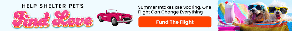 Flight to Freedom: Summer Lovin' donation campaign by The Animal Rescue Site and GreaterGood. Your contribution funds life-saving flights for shelter pets in need.