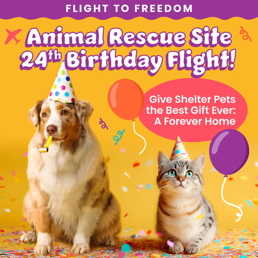 Help Fly Pets to Freedom