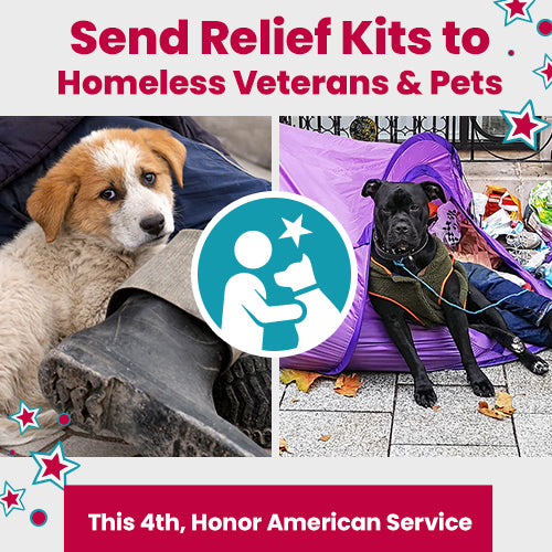 Send Relief Kits to Homeless Veterans and Pets donation campaign by The Animal Rescue Site and GreaterGood. Honor American service this 4th by helping those in need.