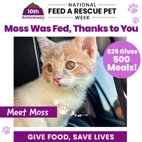 National Feed a Rescue Pet Week 10th Anniversary campaign by The Animal Rescue Site and GreaterGood. Help fund 3 million meals for hungry shelter pets and send meals now.
