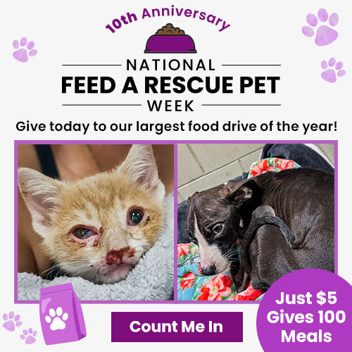 National Feed a Rescue Pet Week 10th Anniversary campaign by The Animal Rescue Site and GreaterGood. Help fund 3 million meals for hungry shelter pets and send meals now.