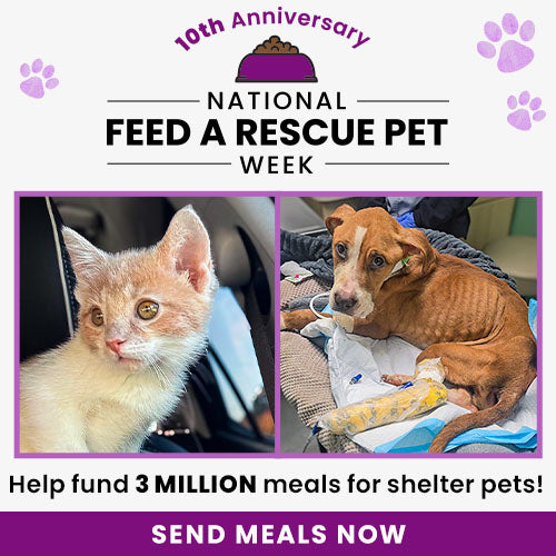 National Feed a Rescue Pet Week 10th Anniversary campaign by The Animal Rescue Site and GreaterGood. Help fund 3 million meals for hungry shelter pets and send meals now.