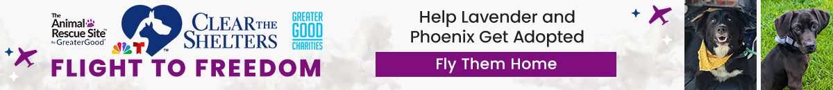Support the Flight to Freedom campaign by The Animal Rescue Site, GreaterGood, and Clear The Shelters. Help fly cats and dogs from overcrowded shelters to their forever homes.