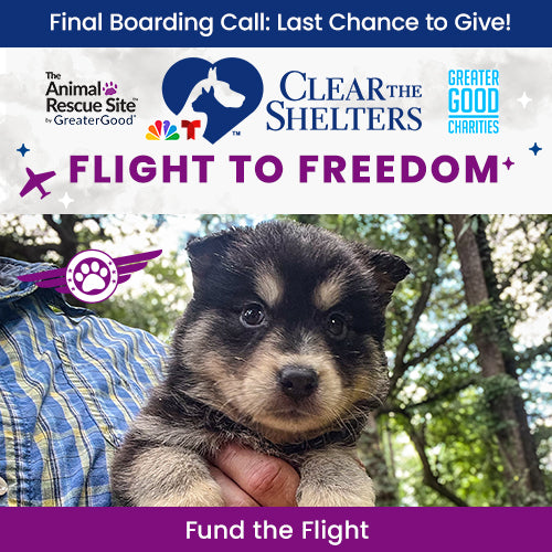 Support the Flight to Freedom campaign by The Animal Rescue Site, GreaterGood, and Clear The Shelters. Help fly cats and dogs from overcrowded shelters to their forever homes.