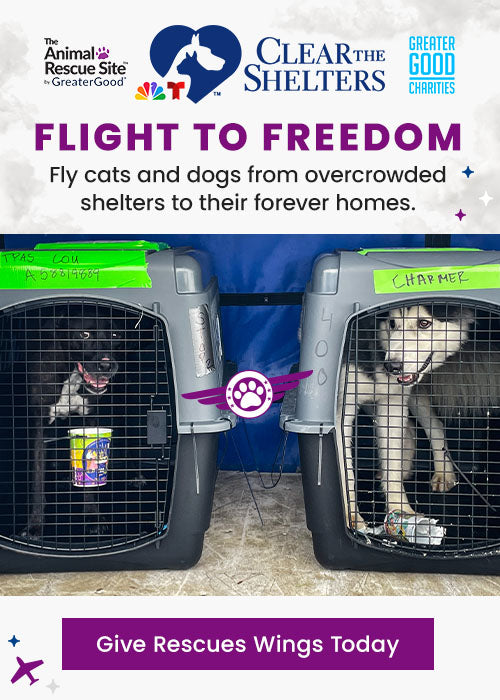 Support the Flight to Freedom campaign by The Animal Rescue Site, GreaterGood, and Clear The Shelters. Help fly cats and dogs from overcrowded shelters to their forever homes.