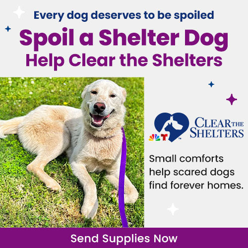 Support the Spoil a Shelter Dog campaign by The Animal Rescue Site, GreaterGood, and Clear The Shelters. Send supplies to help scared dogs find forever homes.