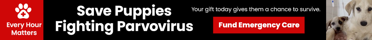 Support the Save Puppies Fighting Parvovirus campaign by The Animal Rescue Site and GreaterGood. Fund emergency care and give sick puppies a chance to survive.