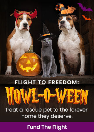 Support the Flight to Freedom: Howl-O-Ween Edition campaign by The Animal Rescue Site and GreaterGood. Fund the flight to treat a rescue pet to the forever home they deserve.