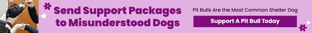 Support the Send Support Packages to Misunderstood Dogs campaign by The Animal Rescue Site and GreaterGood. Support a pit bull today because pit bulls are the most common shelter dog during National Pit Bull Awareness Month.