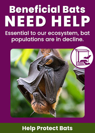 Support the Beneficial Bats Need Help campaign by The Animal Rescue Site and GreaterGood. Help protect bats because they are essential to our ecosystem and populations are in decline.