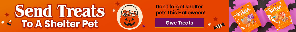 Support the Send Treats to A Shelter Pet campaign by The Animal Rescue Site and GreaterGood. Give treats this Happy Howl-O-Ween because shelter pets shouldn't be forgotten this Halloween