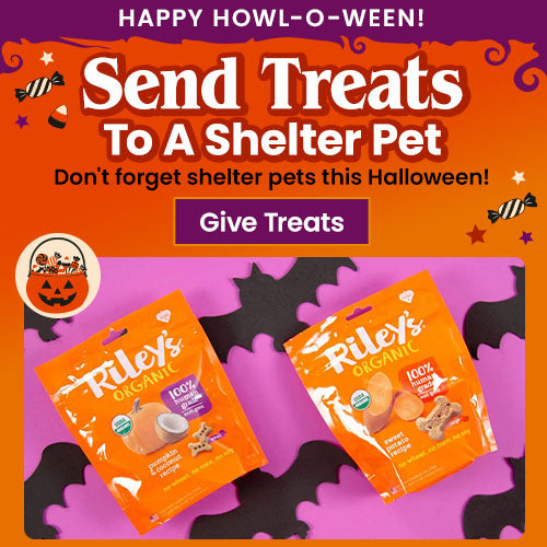 Support the Send Treats to A Shelter Pet campaign by The Animal Rescue Site and GreaterGood. Give treats this Happy Howl-O-Ween because shelter pets shouldn't be forgotten this Halloween