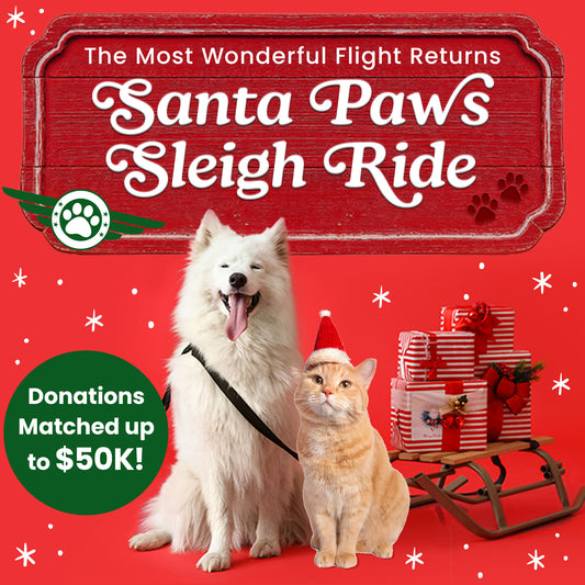 Help Fly Pets to Freedom