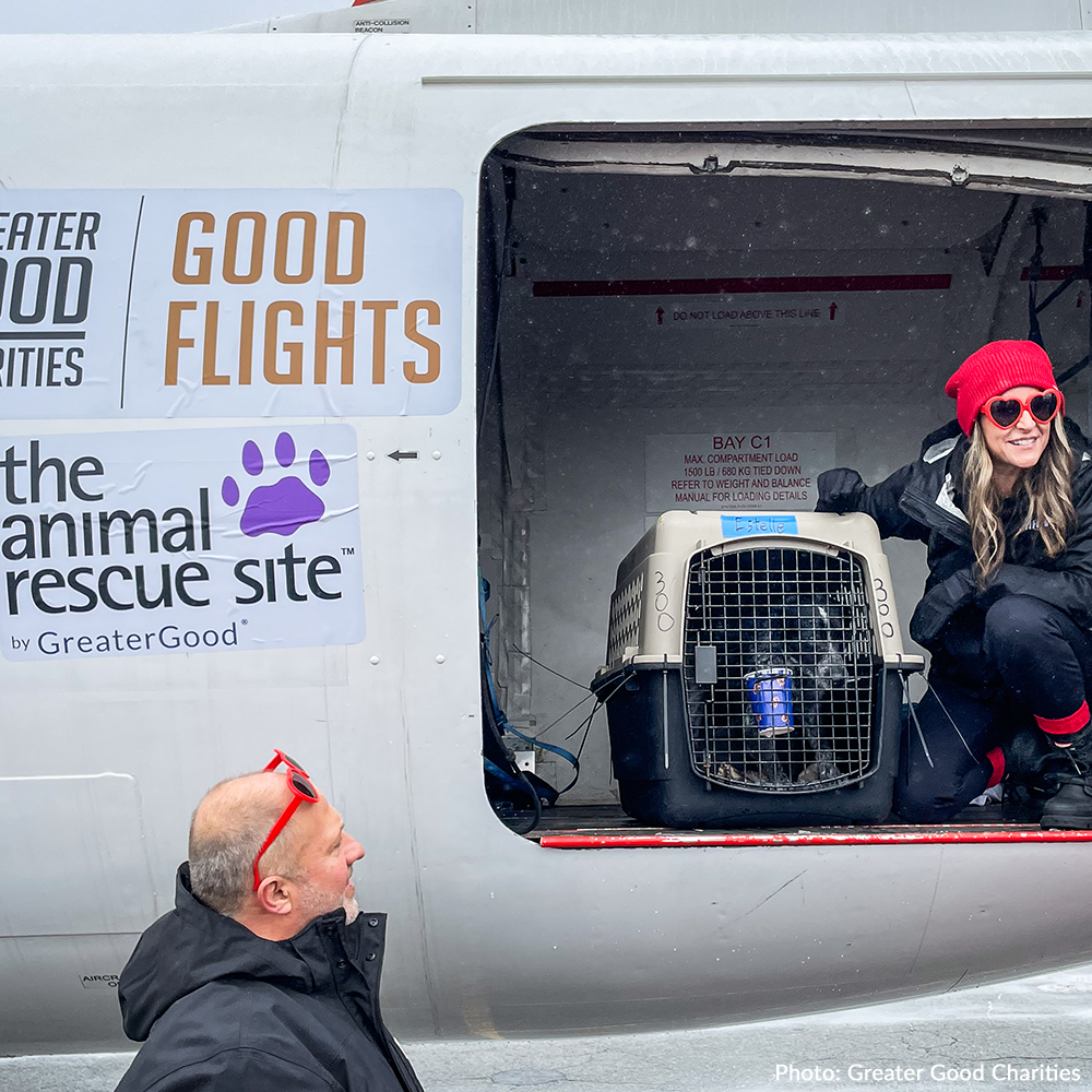 Help Fly Pets to Freedom