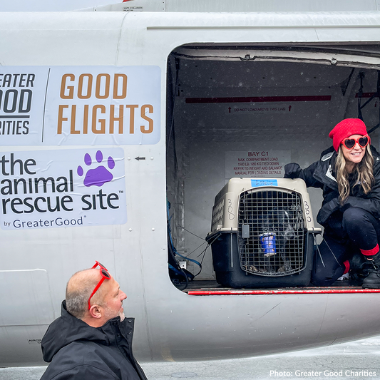 Help Fly Pets to Freedom