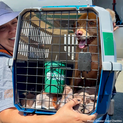 Help Fly Pets to Freedom