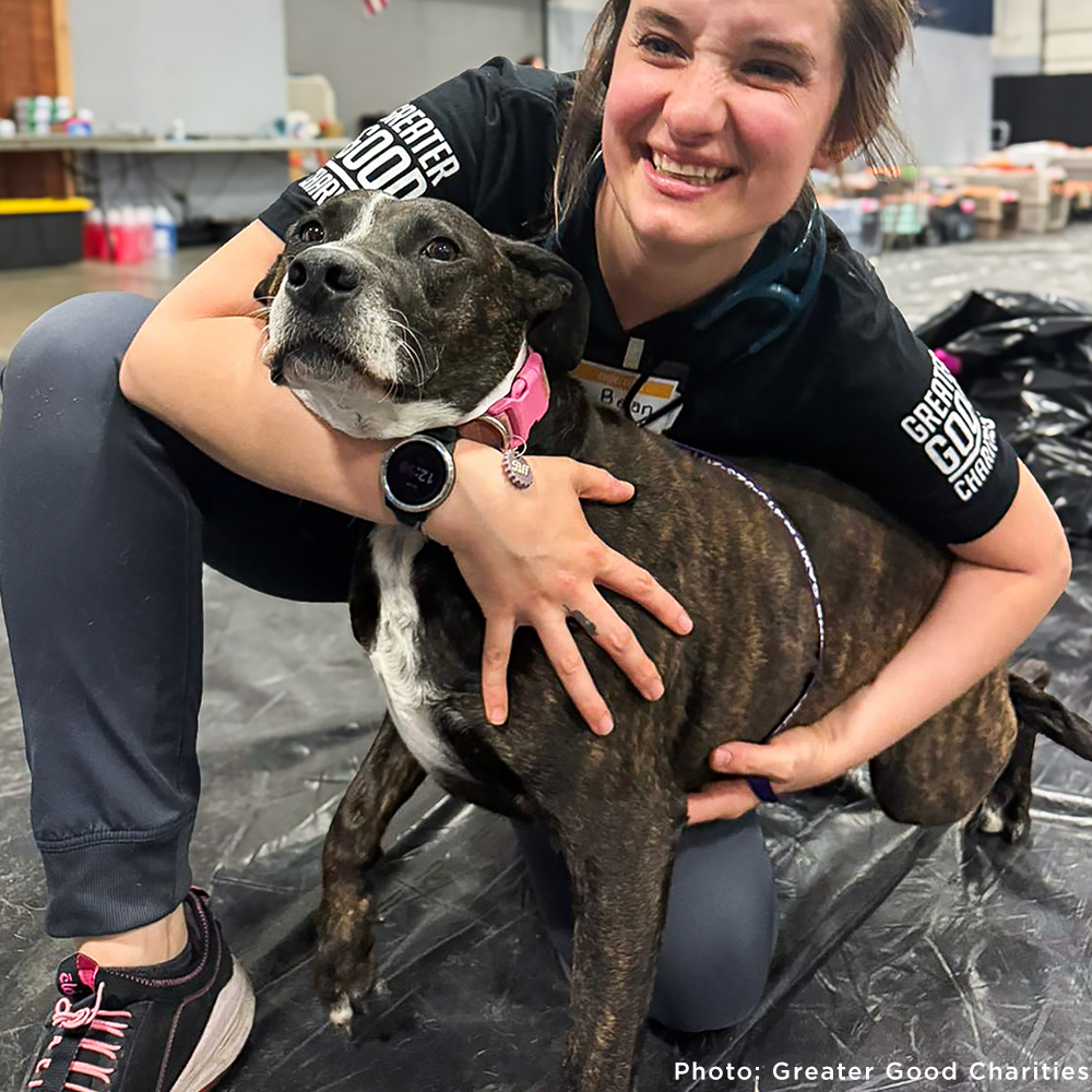 Save Lives and Prevent Suffering With Spay & Neuter