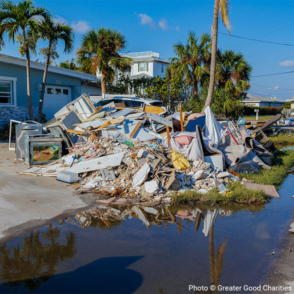 URGENT: Help Wildlife Affected By Recent Hurricanes