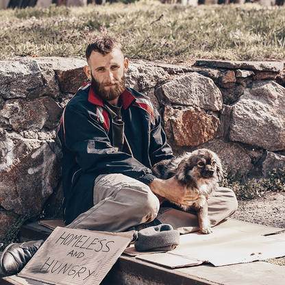 Send Critical Relief to Protect Pets of the Homeless During Summer Heat