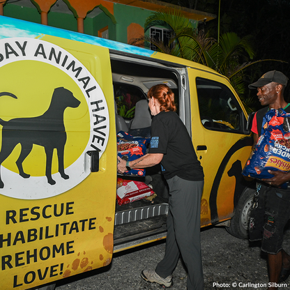 Rush Aid to People & Pets Devastated By Hurricane Melissa