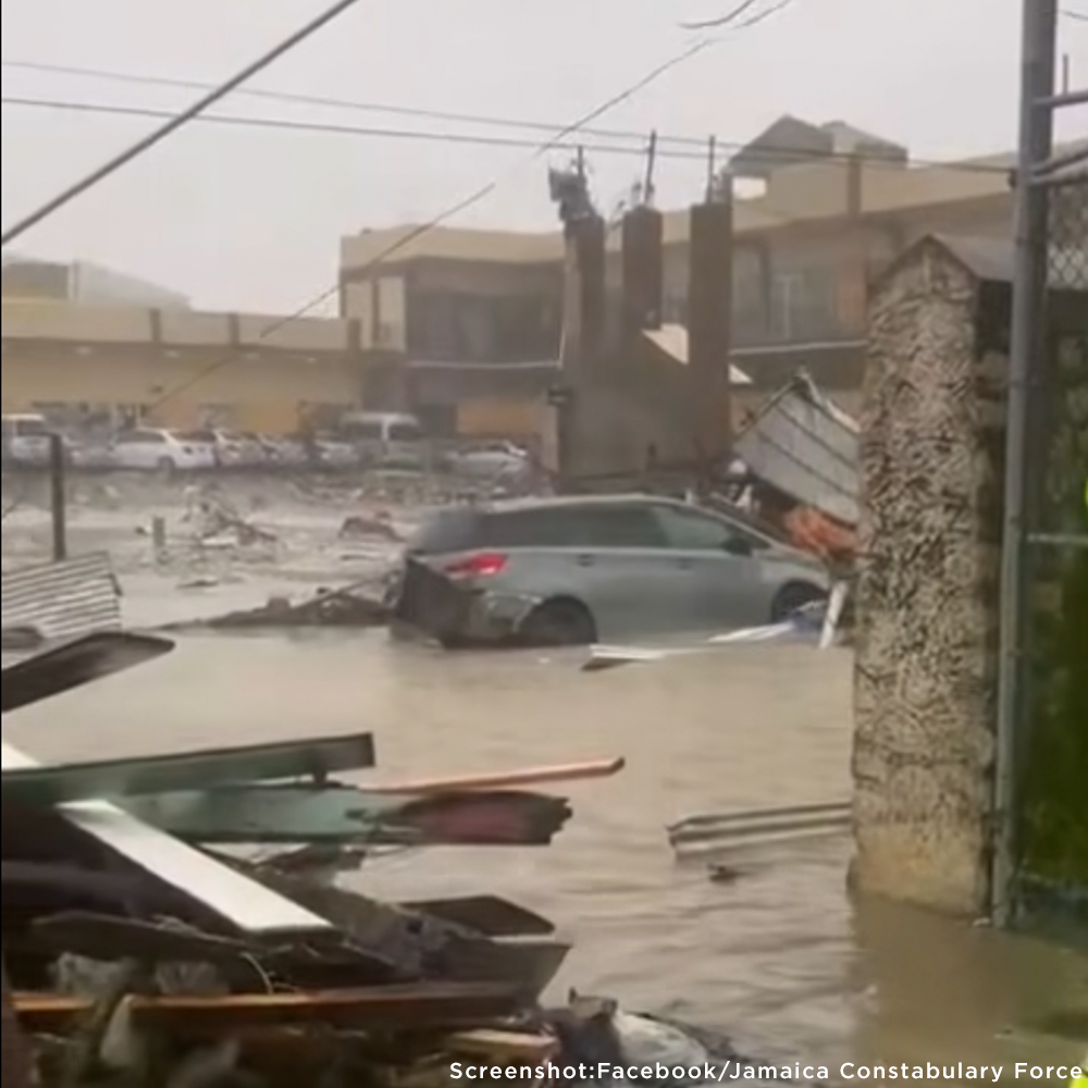 Rush Aid to People & Pets Devastated By Hurricane Melissa