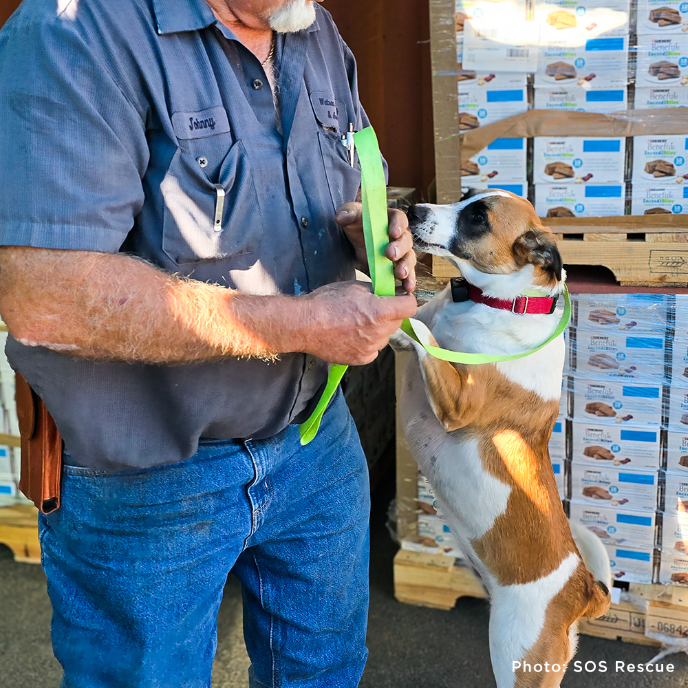 URGENT: Pet Food Drive for Shelters Affected by Helene and Milton