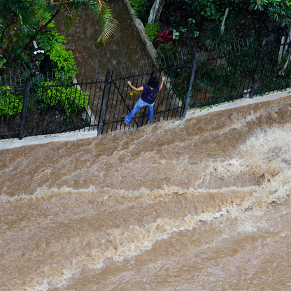 Help People and Pets Affected by Hurricane Beryl