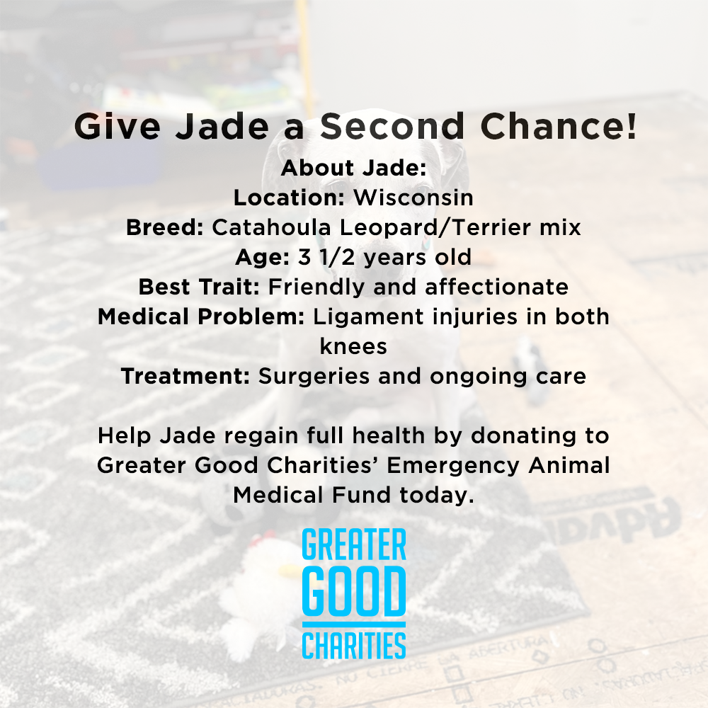 Funded - Help Jade Lose Her Limp