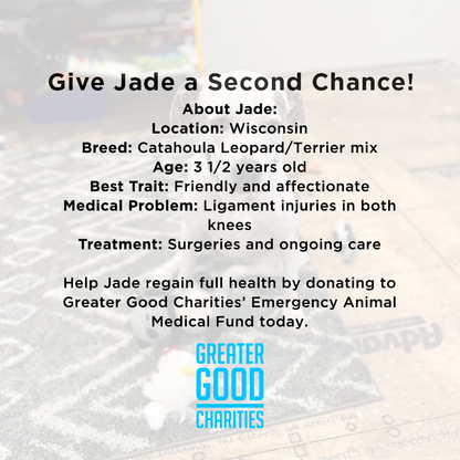 Funded - Help Jade Lose Her Limp