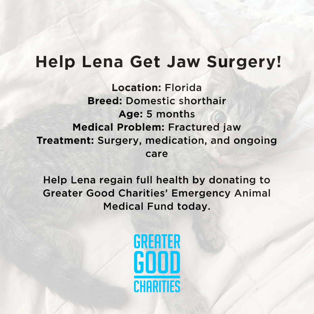 Funded - Help Lena Get Jaw Surgery
