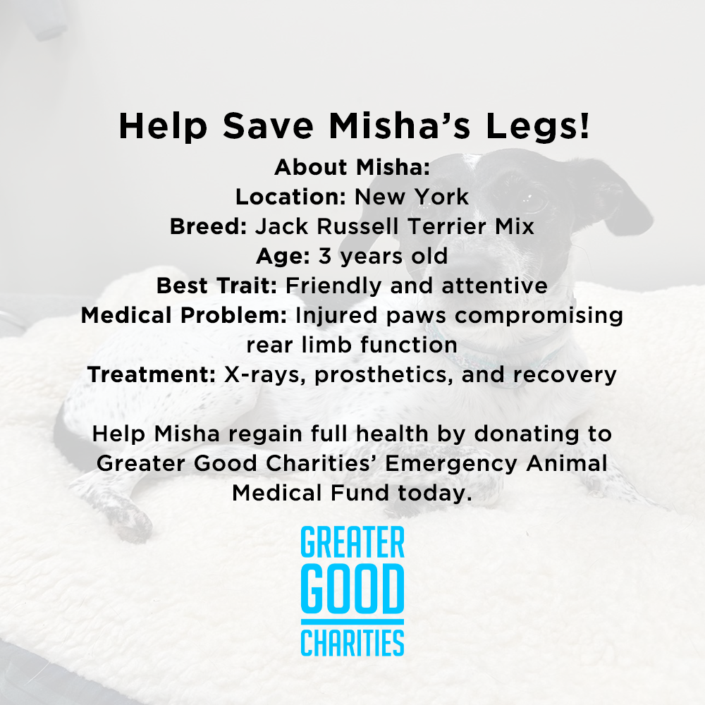 Funded - Help Save Misha's Legs
