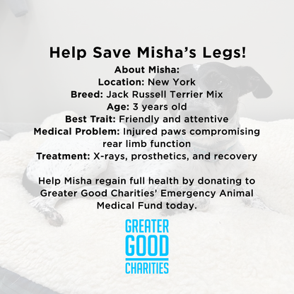 Funded - Help Save Misha's Legs