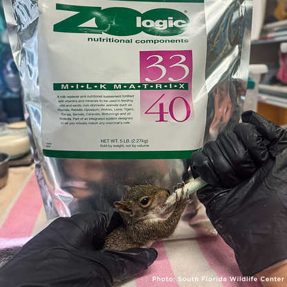 Help Provide Lifesaving Care to Orphaned and Injured Baby Wildlife