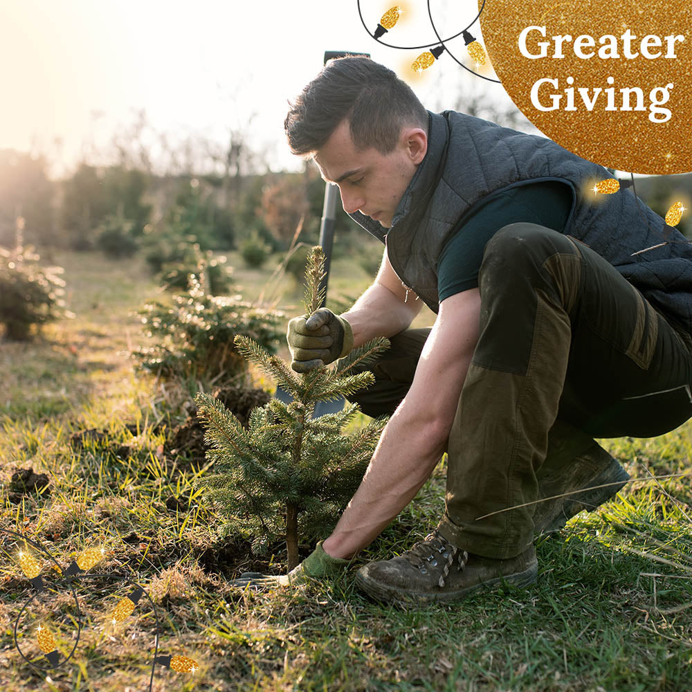 Give the Earth a Gift: Plant a Tree for the Holidays