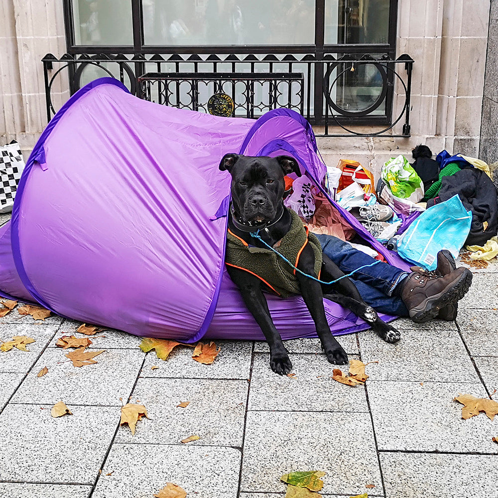 Send Relief Kits to Veterans & Pets Experiencing Homelessness