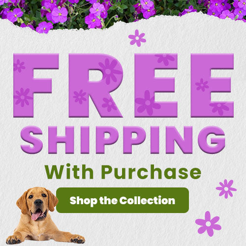 Free Shipping With Purchase promotion from The Animal Rescue Site and GreaterGood; proceeds help support shelter pets and more, featuring purple floral lettering and a smiling yellow Labrador puppy.