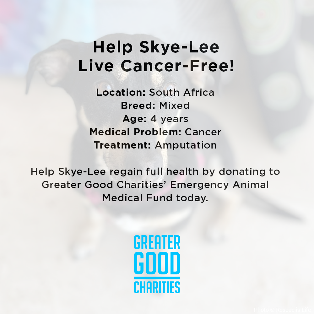 Funded: Help Skye-Lee Live Cancer-Free