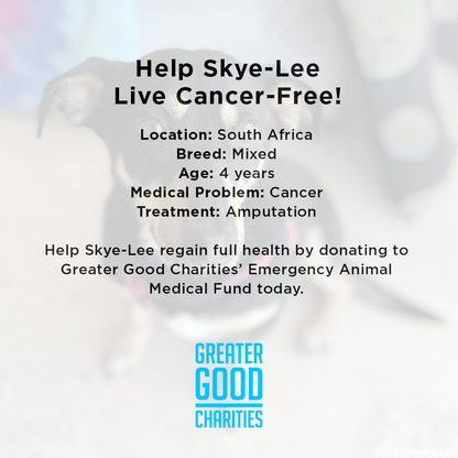 Funded: Help Skye-Lee Live Cancer-Free