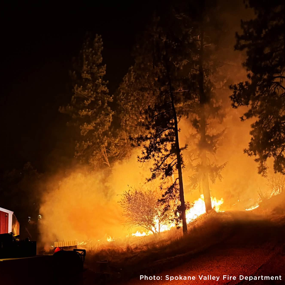 Send Emergency Relief to Families and Pets Impacted by the Spokane Wildfires
