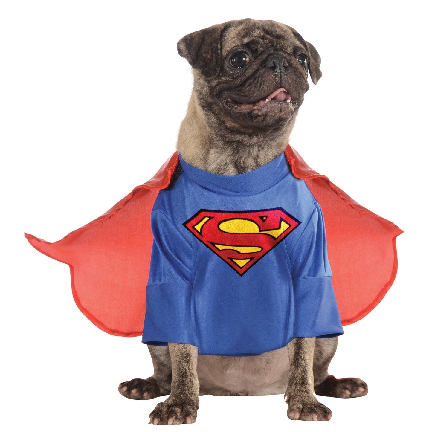 Superman Pet Costume