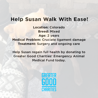 Funded: Help Susan Walk With Ease