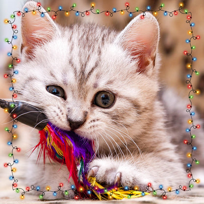 7th Annual Holiday Toy & Treat Event: Bring Joy To a Shelter Pet