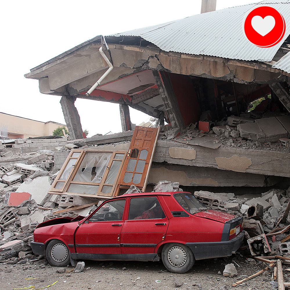 Help People and Pet Victims of Earthquakes